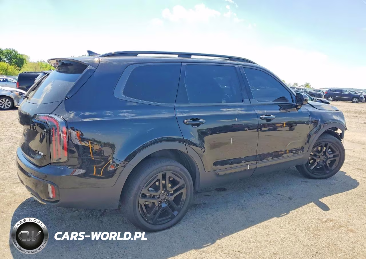 2025 Kia Telluride Sx-Prestige X-Line VIN:5XYP5DGC8SG607218 - 3