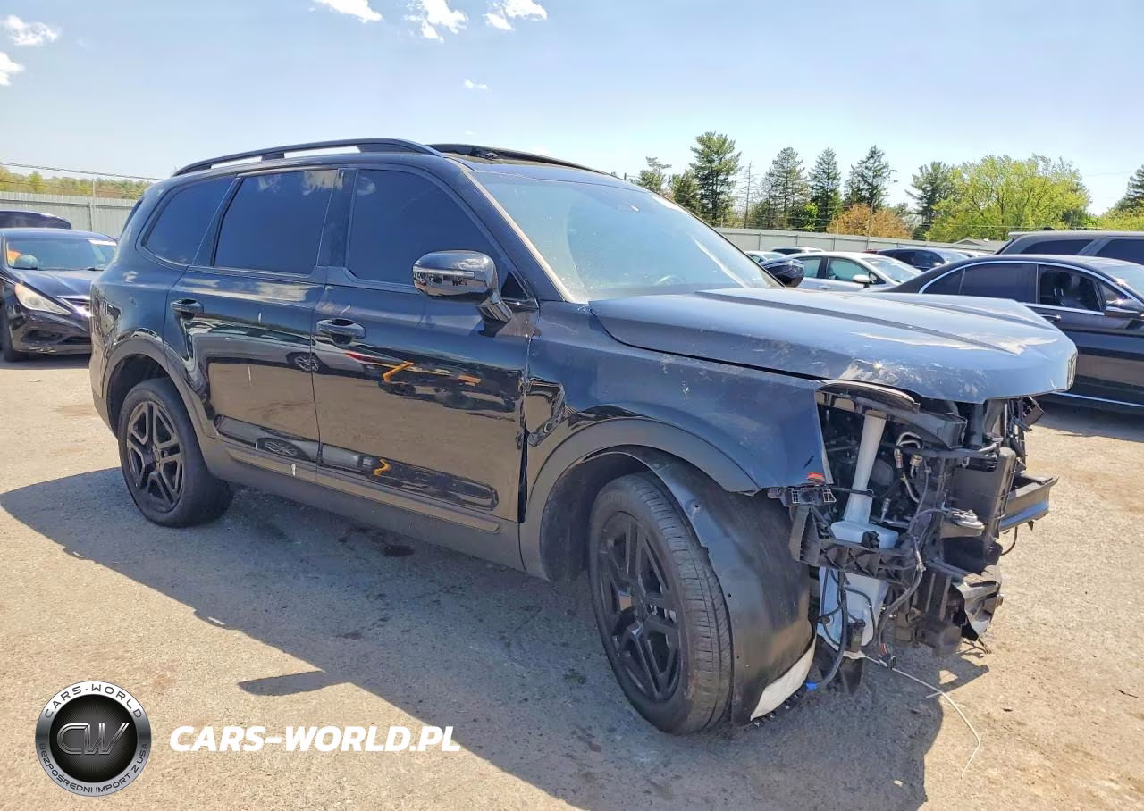 2025 Kia Telluride Sx-Prestige X-Line VIN:5XYP5DGC8SG607218 - 4