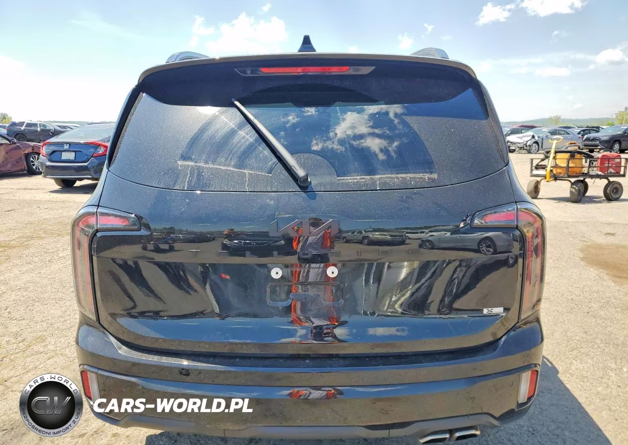2025 Kia Telluride Sx-Prestige X-Line VIN:5XYP5DGC8SG607218 - 6