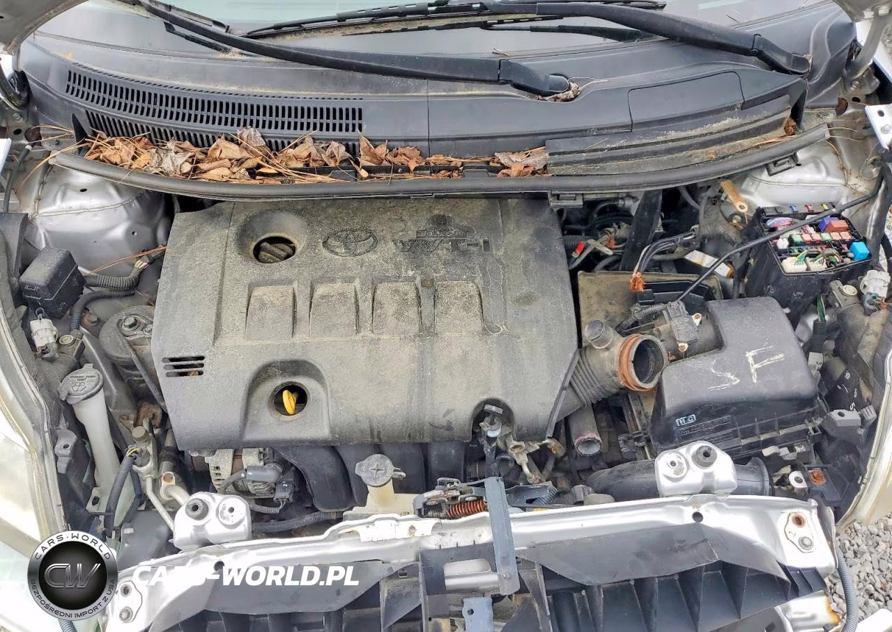 2014 Scion Xd Base VIN:JTKKUPB45E1044849 - 11