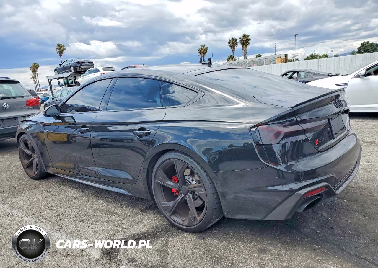 2023 Audi Rs5 VIN:WUAAWDF52PA902234 - 2