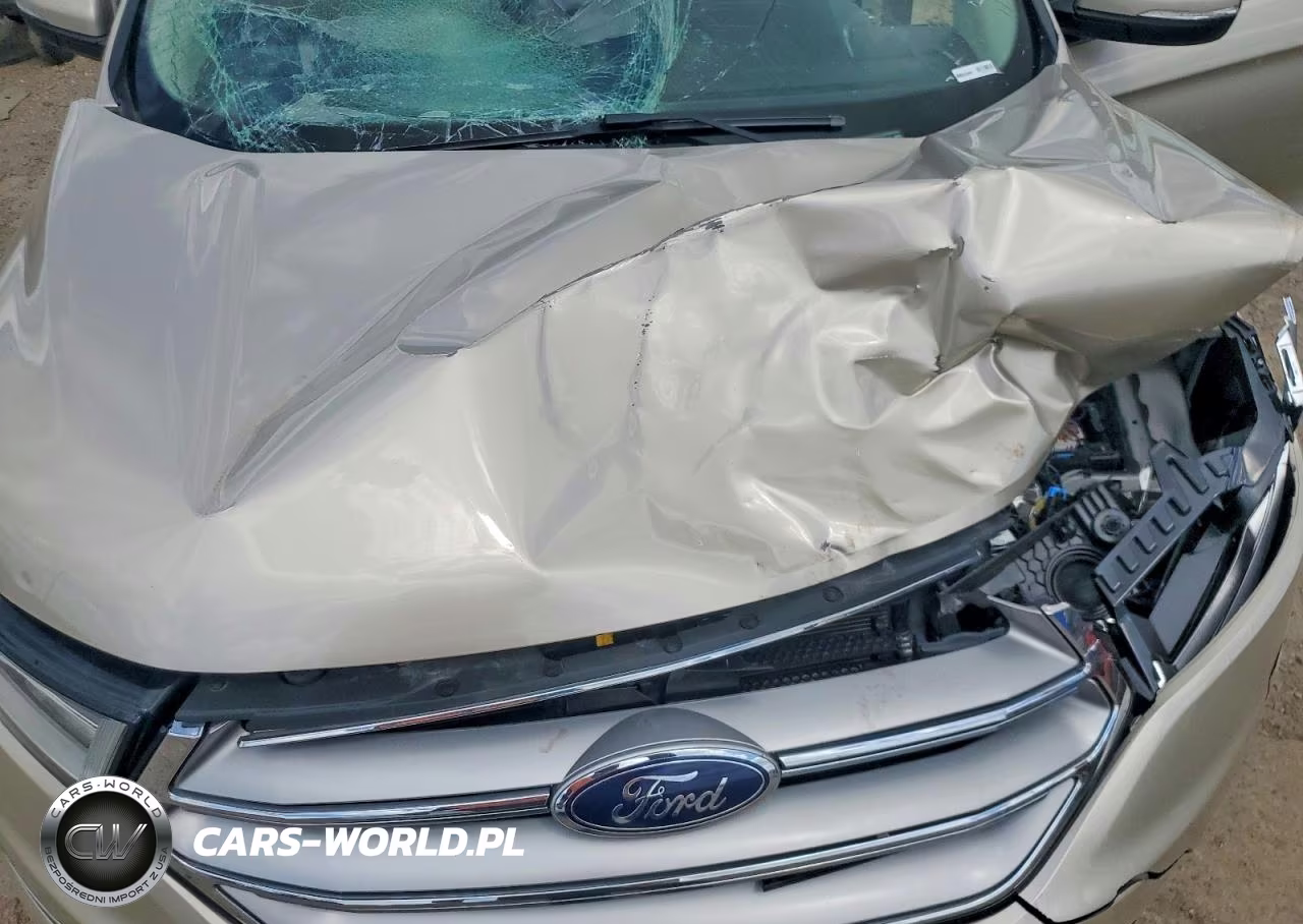 2017 Ford Edge Sel VIN:2FMPK4J92HBC62217 - 12