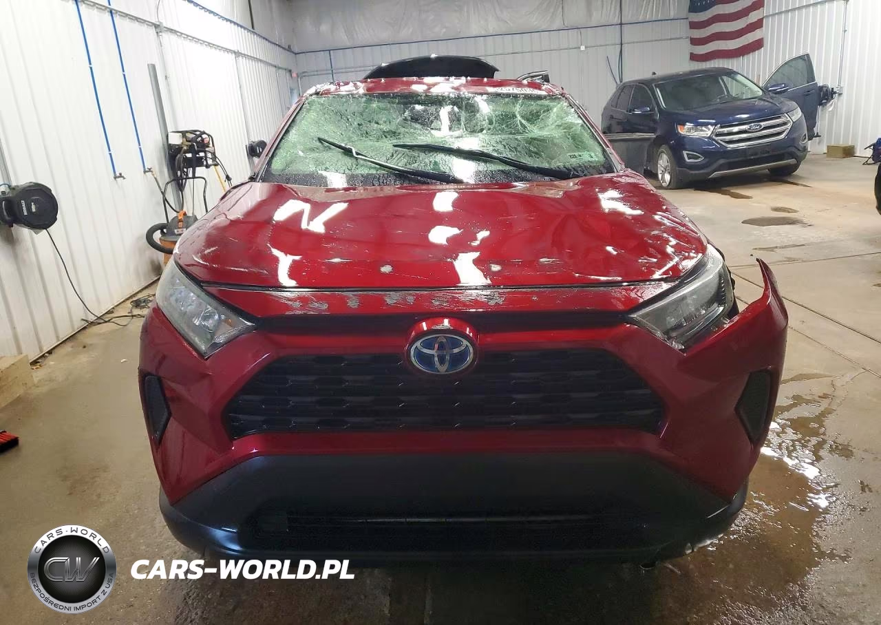 2019 Toyota Rav4 Le VIN:JTMMWRFV4KD028824 - 5