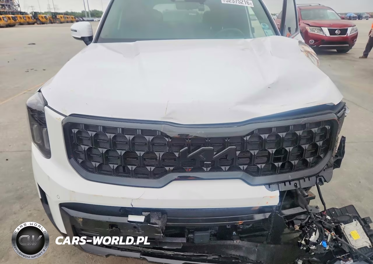 2025 Kia Telluride Sx-Prestige X-Line VIN:5XYP5DGC8SG589822 - 11