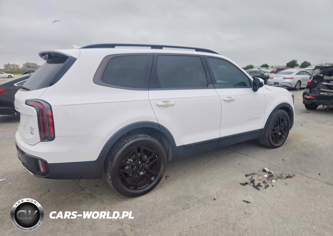2025 Kia Telluride Sx-Prestige X-Line VIN:5XYP5DGC8SG589822 - 3