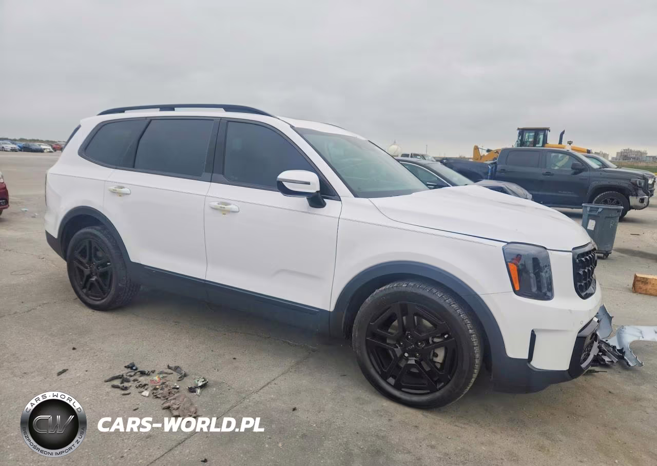 2025 Kia Telluride Sx-Prestige X-Line VIN:5XYP5DGC8SG589822 - 4