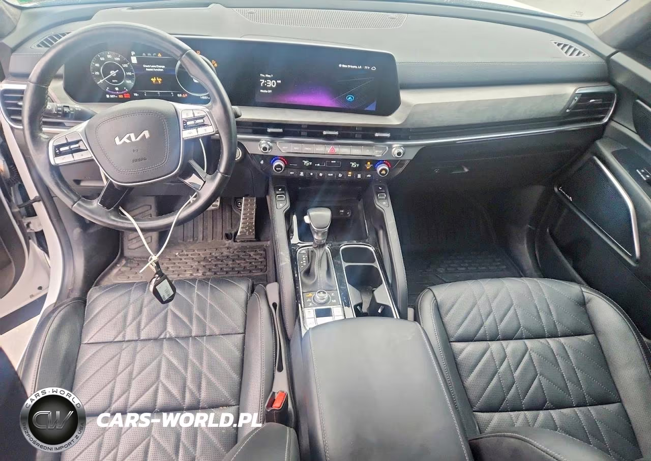 2025 Kia Telluride Sx-Prestige X-Line VIN:5XYP5DGC8SG589822 - 8