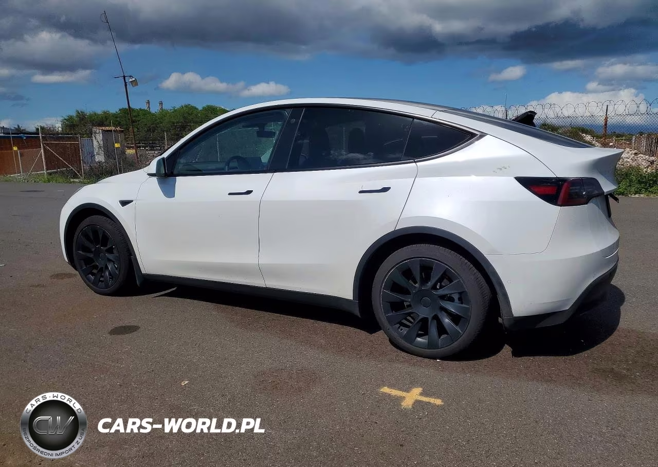 2021 Tesla Model Y VIN:5YJYGAEE4MF251037 - 2