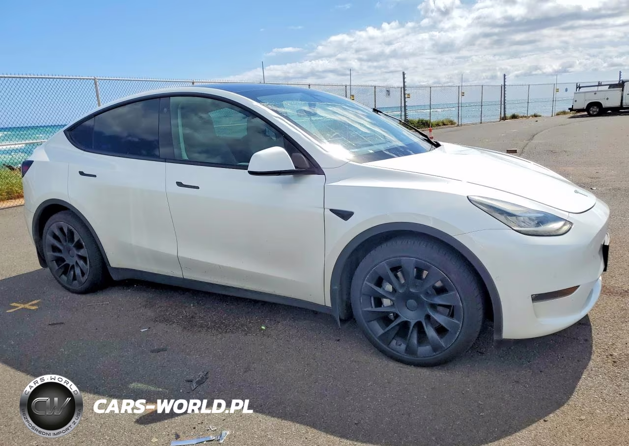 2021 Tesla Model Y VIN:5YJYGAEE4MF251037 - 4