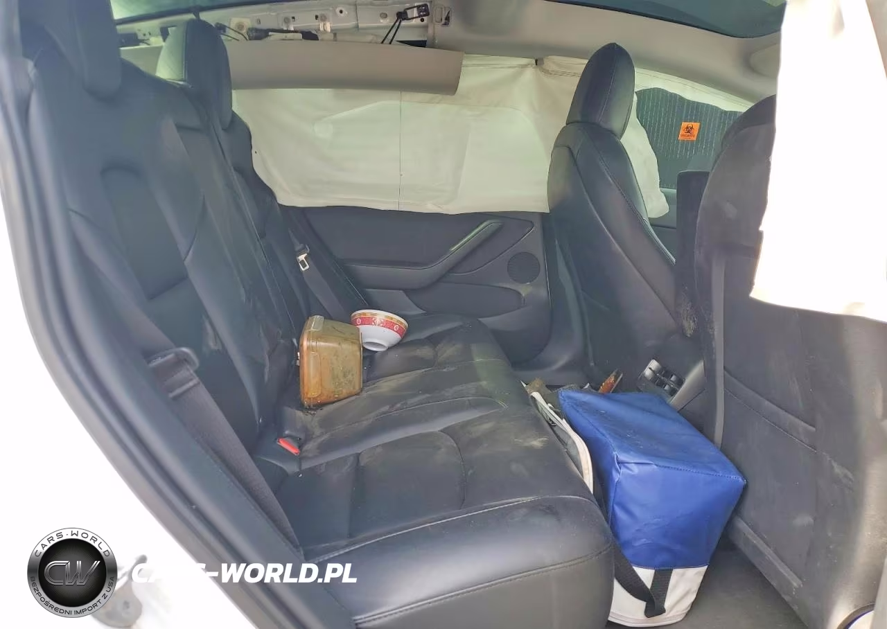2021 Tesla Model 3 VIN:5YJ3E1EC6MF044809 - 10
