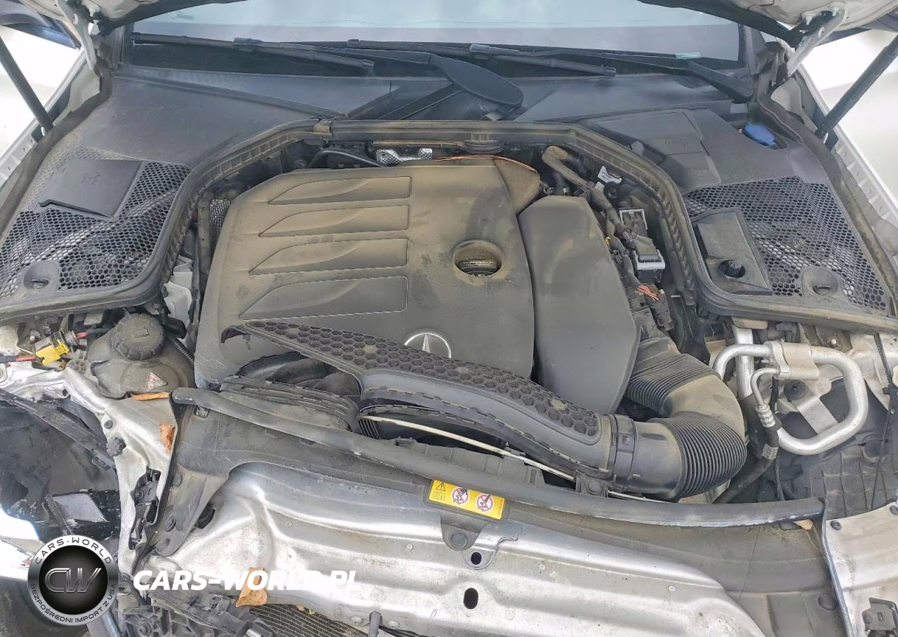 2020 Mercedes-Benz C 300 VIN:55SWF8DB9LU332784 - 11