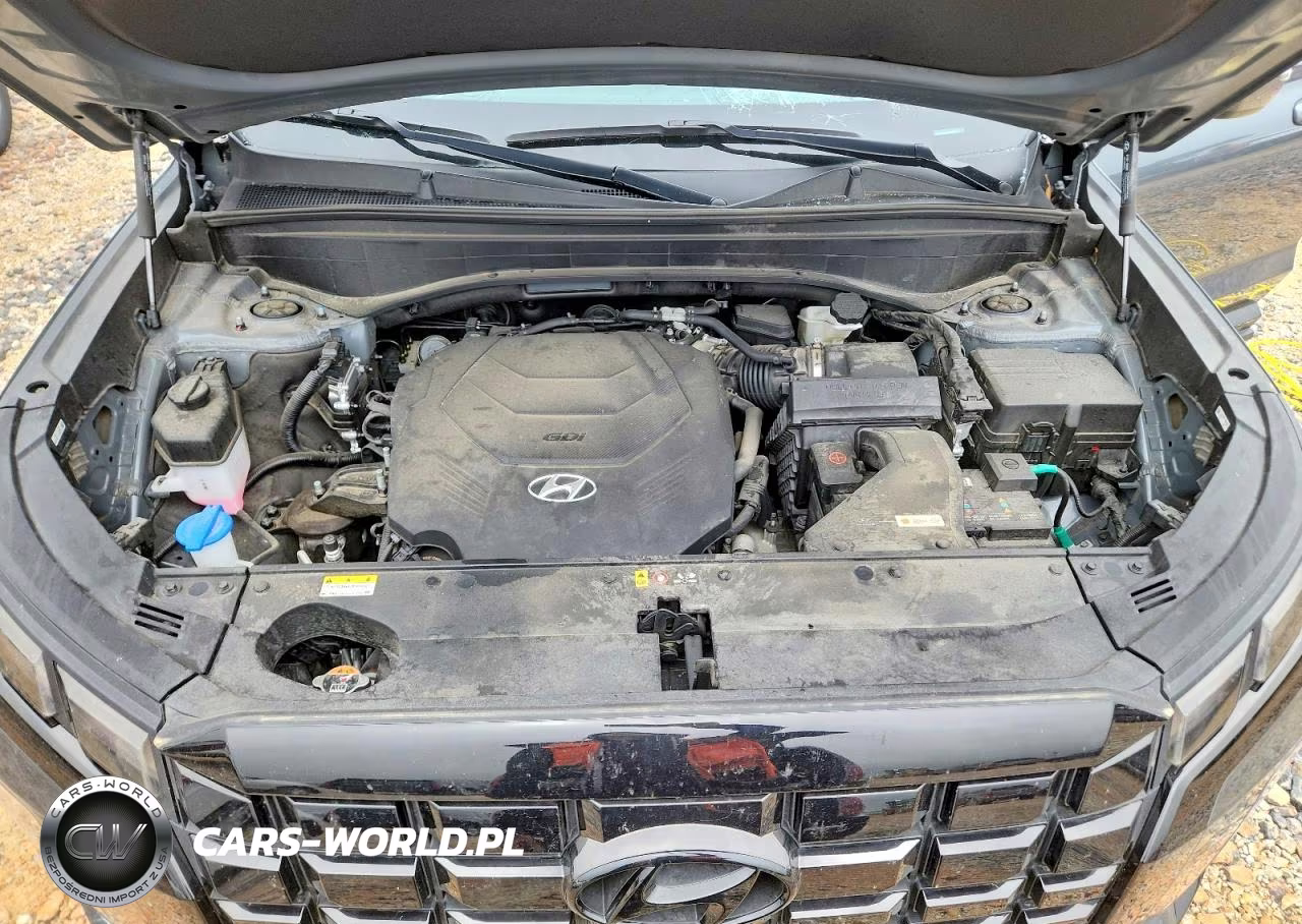 2024 Hyundai Palisade Xrt VIN:KM8R34GE2RU692660 - 12