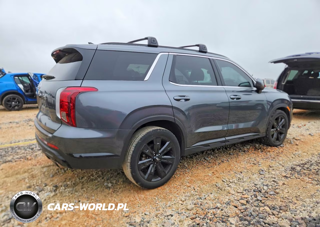 2024 Hyundai Palisade Xrt VIN:KM8R34GE2RU692660 - 3