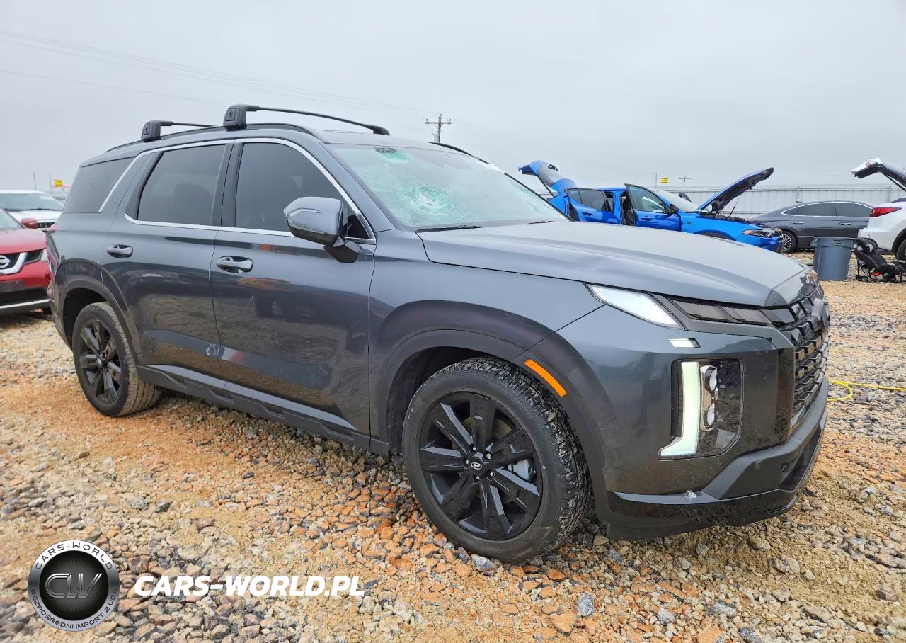 2024 Hyundai Palisade Xrt VIN:KM8R34GE2RU692660 - 4