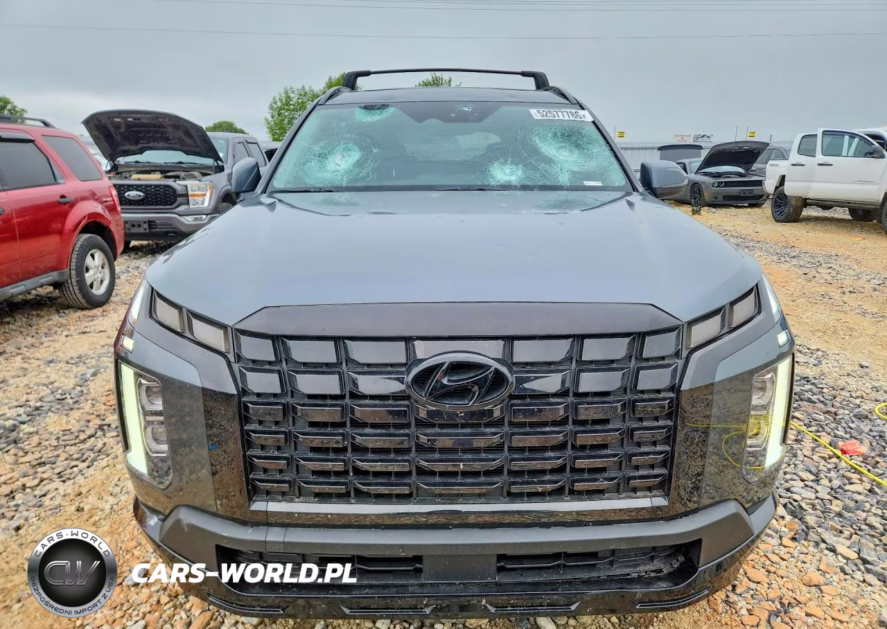2024 Hyundai Palisade Xrt VIN:KM8R34GE2RU692660 - 5