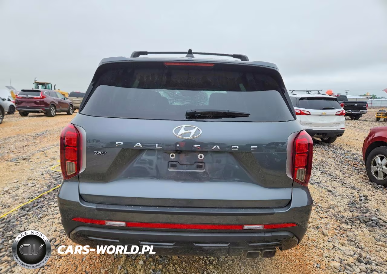 2024 Hyundai Palisade Xrt VIN:KM8R34GE2RU692660 - 6