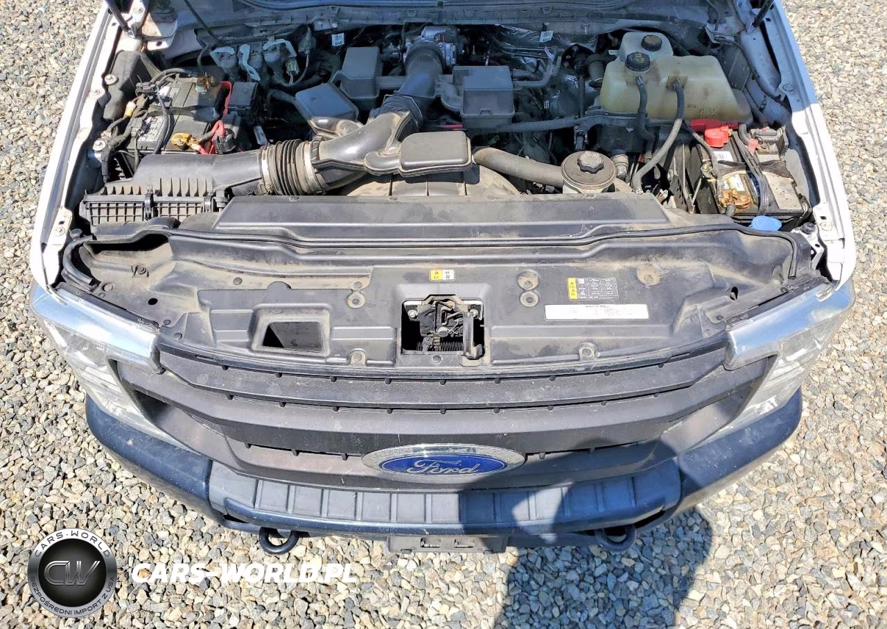 2020 Ford F350 Super Duty VIN:1FDRF3G64LEE89166 - 12