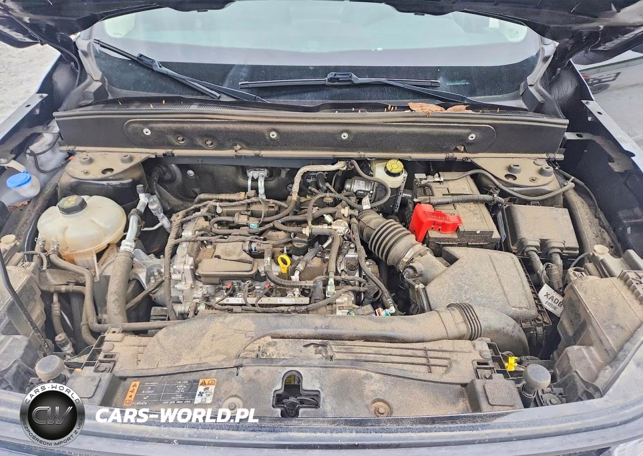 2023 Ford Bronco Sport Outer Banks VIN:3FMCR9C69PRD34640 - 12