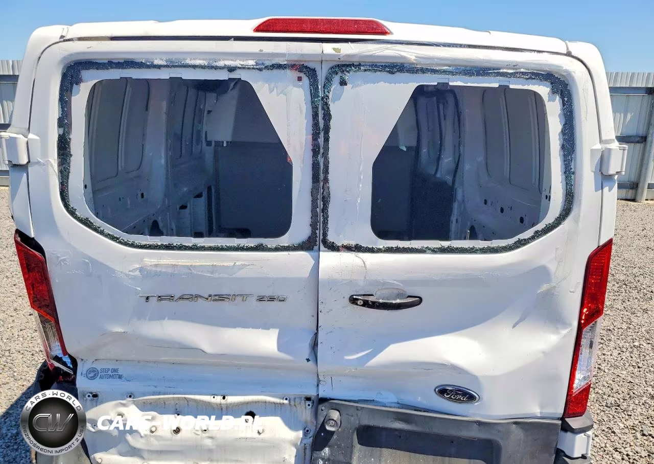 2019 Ford Transit 250 Delivery Van VIN:1FTYR1ZM3KKB76875 - 20