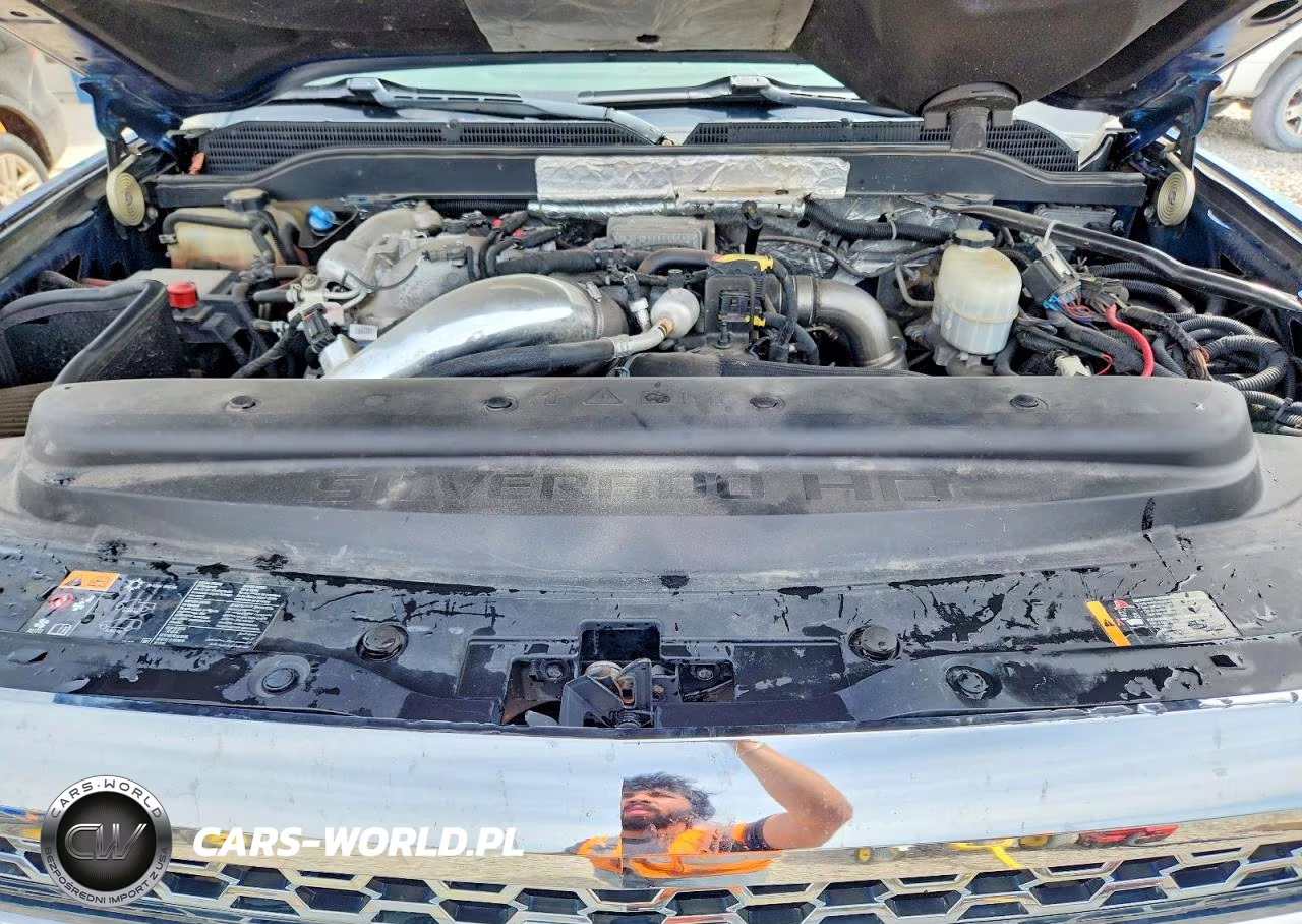 2019 Chevrolet Silverado K2500 Heavy Duty VIN:1GC1KREY9KF161920 - 11