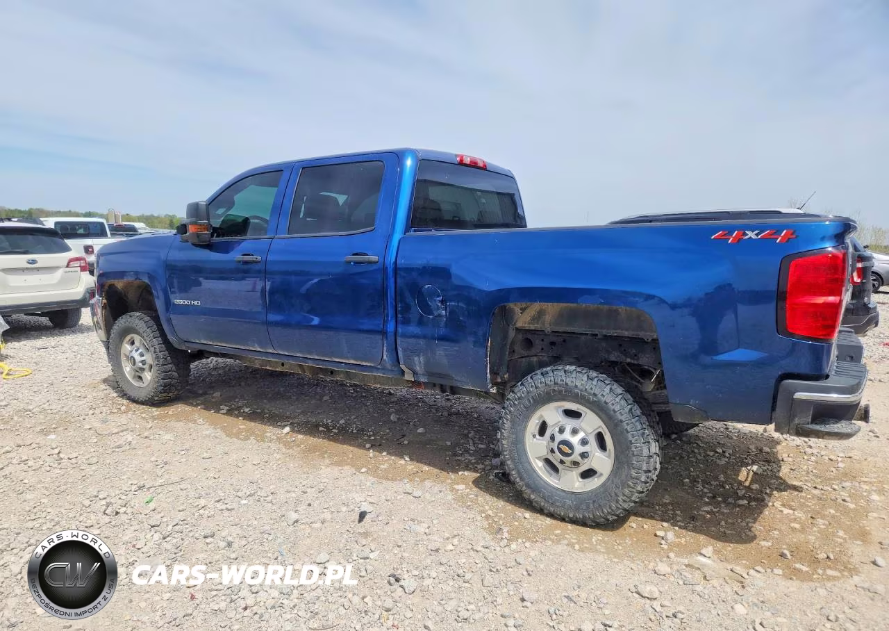 2019 Chevrolet Silverado K2500 Heavy Duty VIN:1GC1KREY9KF161920 - 2