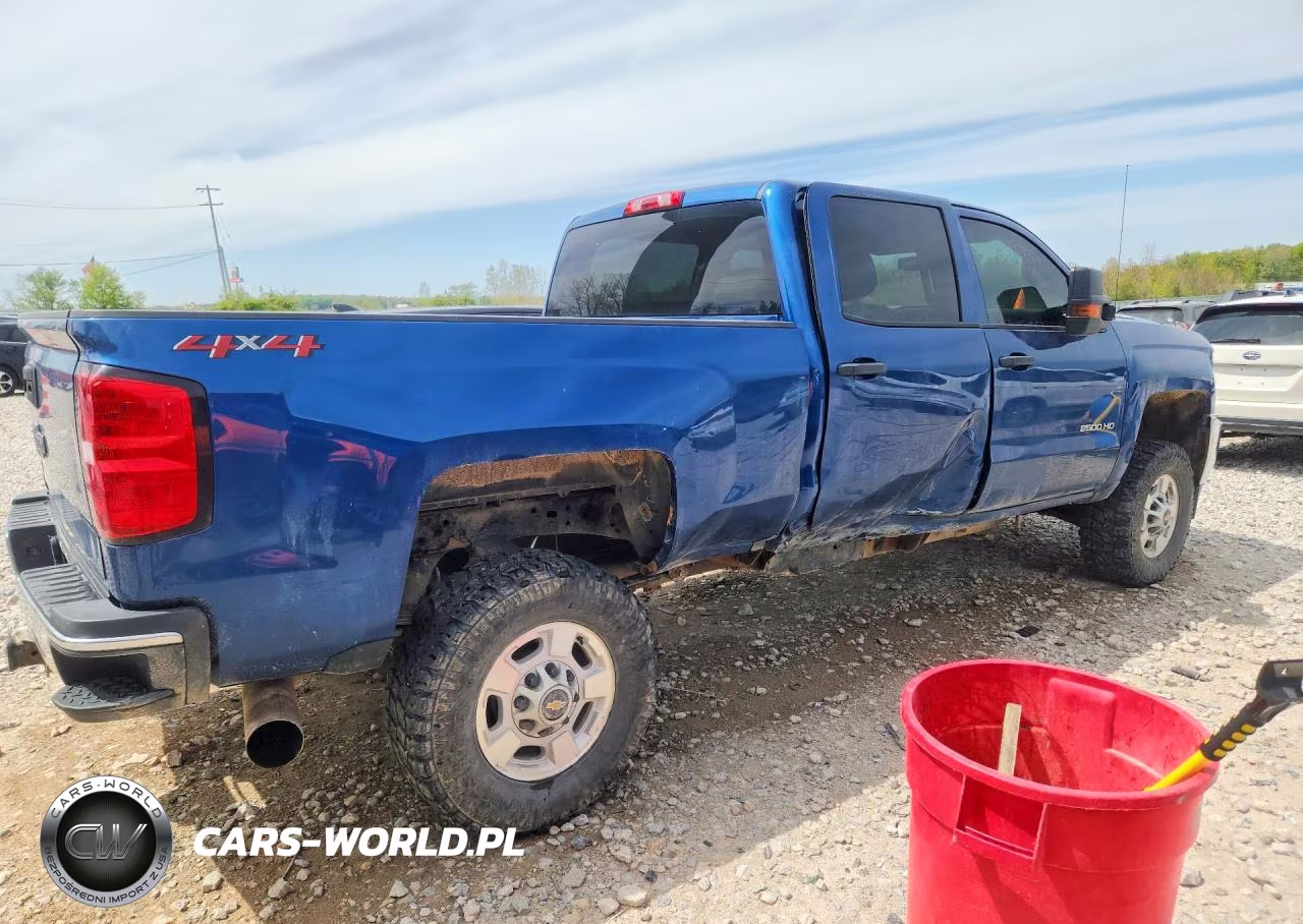 2019 Chevrolet Silverado K2500 Heavy Duty VIN:1GC1KREY9KF161920 - 3