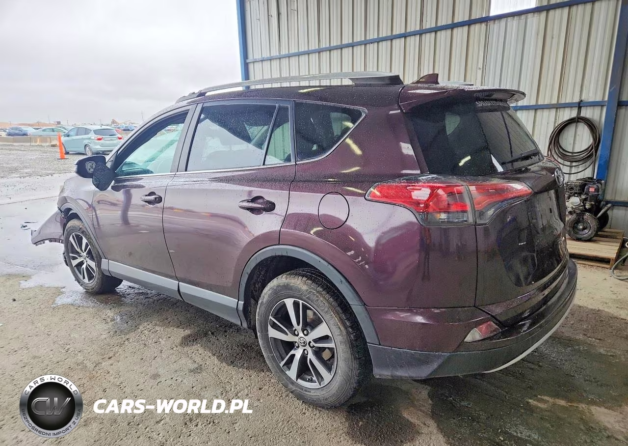 2016 Toyota Rav4 Xle VIN:2T3RFREV0GW485924 - 2