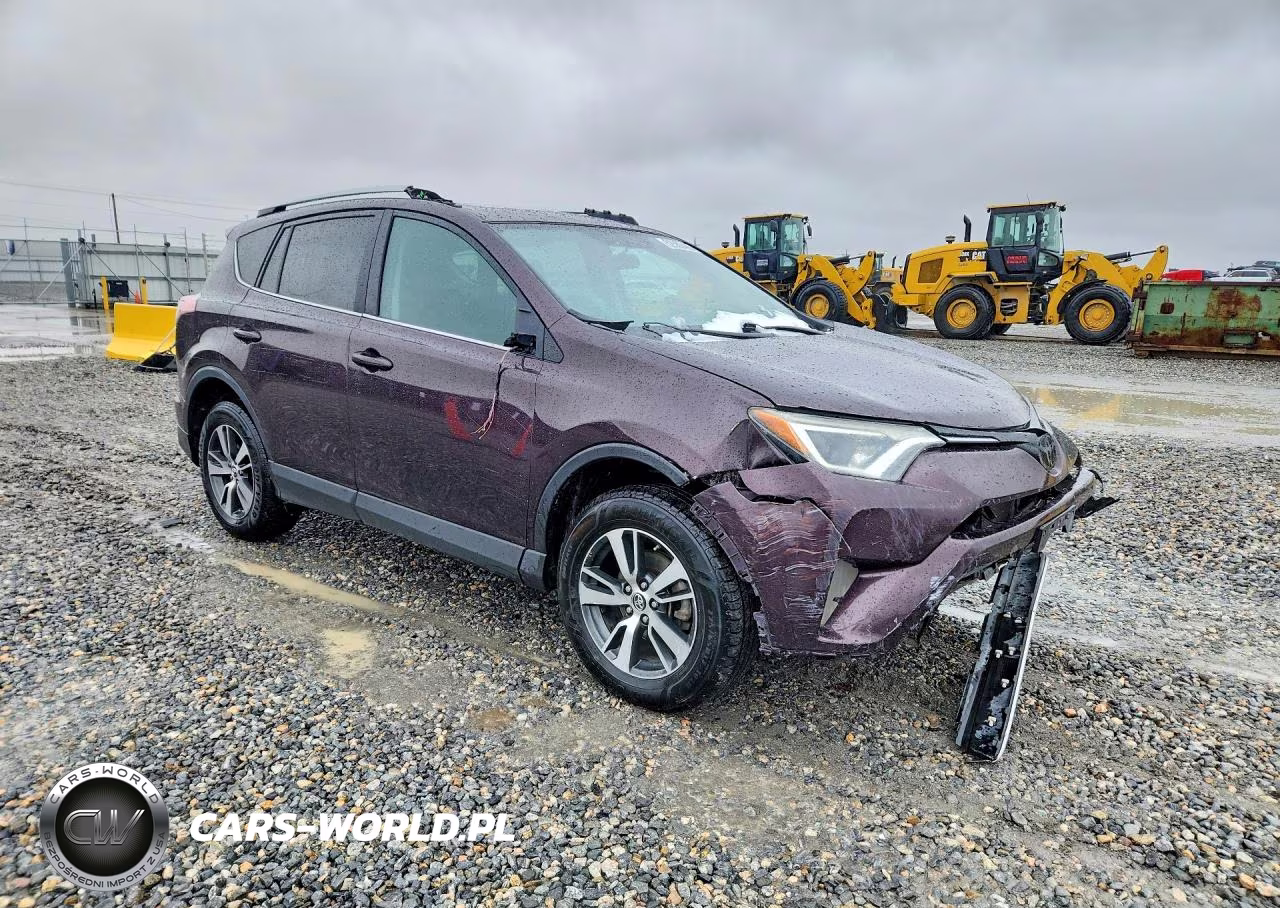 2016 Toyota Rav4 Xle VIN:2T3RFREV0GW485924 - 4