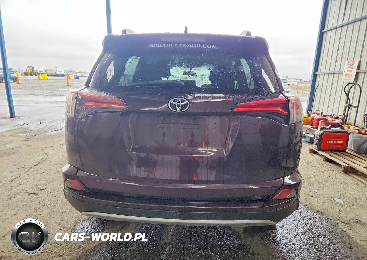 2016 Toyota Rav4 Xle VIN:2T3RFREV0GW485924 - 6