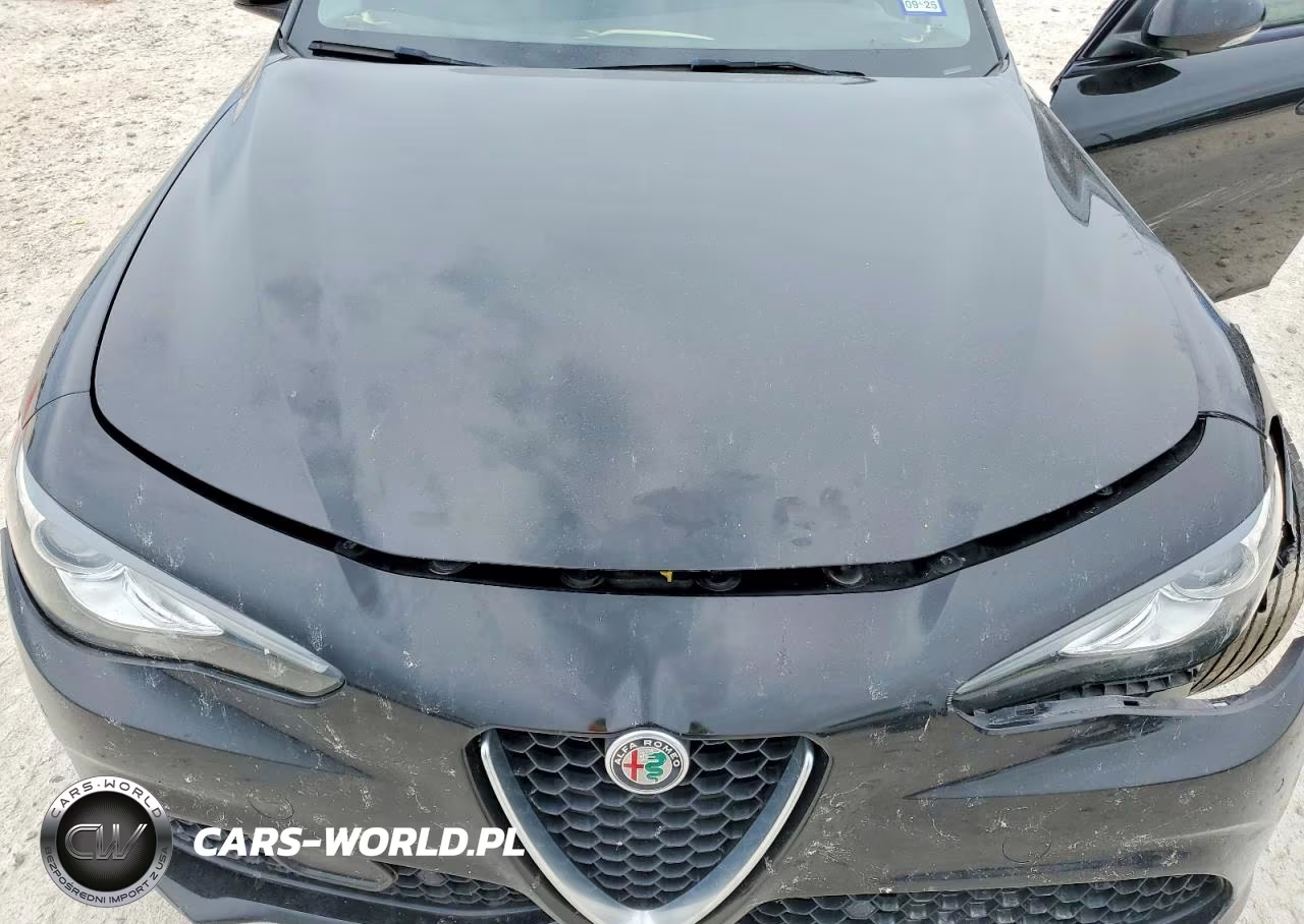 2018 Alfa Romeo Giulia Ti VIN:ZARFAECN8J7599479 - 11