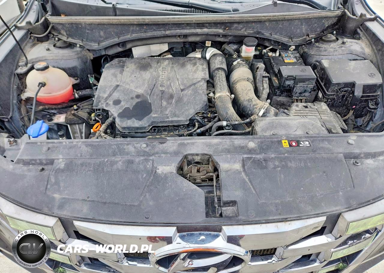 2022 Hyundai Santa Cruz Limited VIN:5NTJEDAF6NH030924 - 11