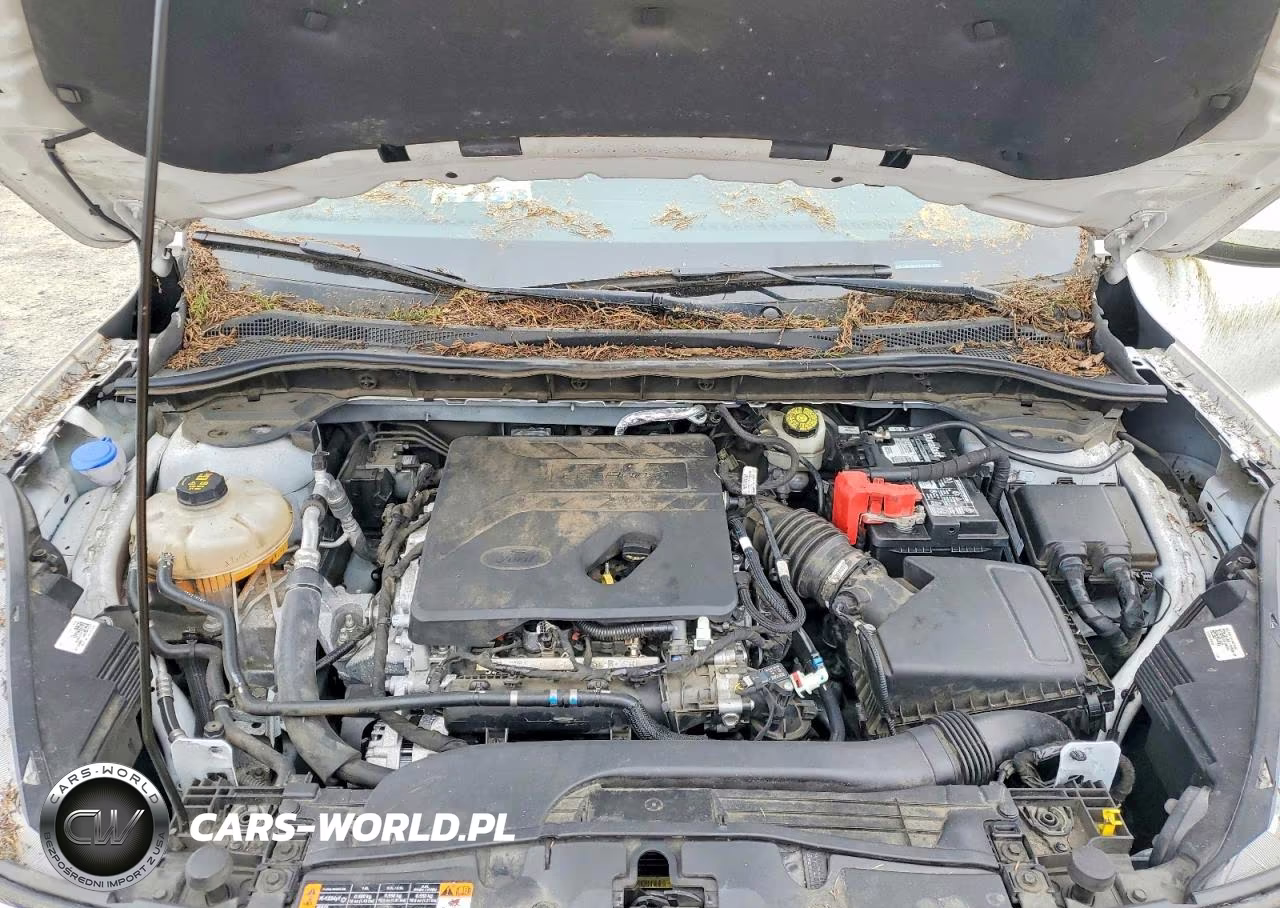 2020 Ford Escape Sel VIN:1FMCU0H69LUA81308 - 12