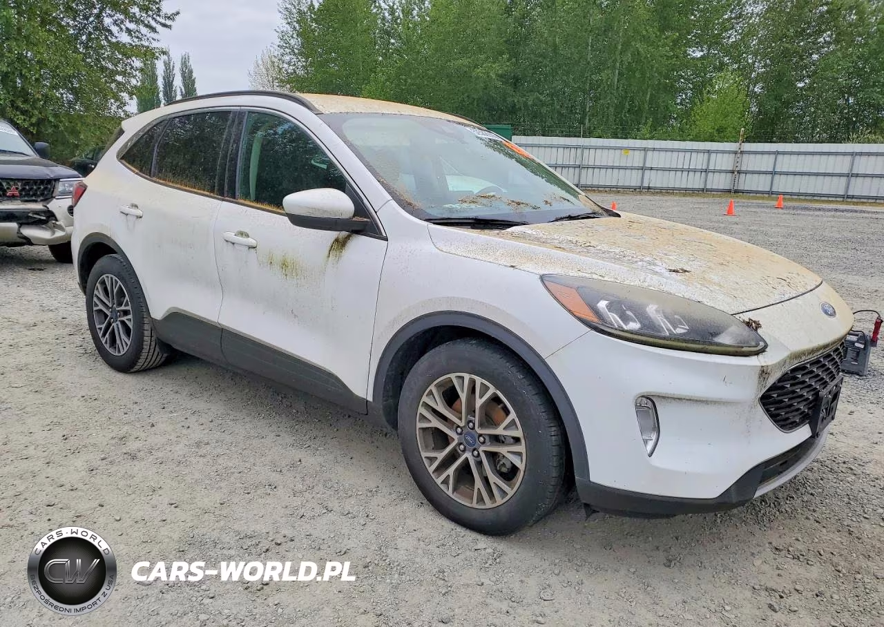 2020 Ford Escape Sel VIN:1FMCU0H69LUA81308 - 4