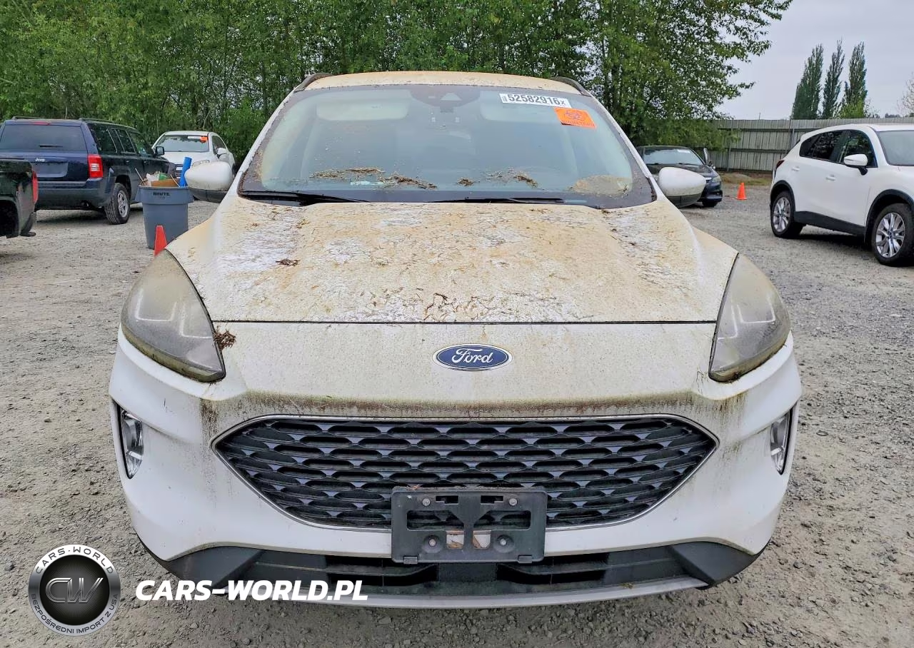 2020 Ford Escape Sel VIN:1FMCU0H69LUA81308 - 5
