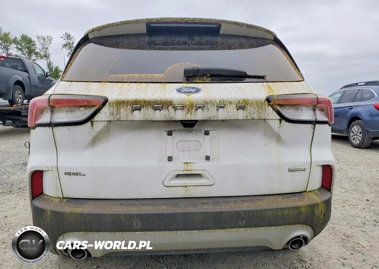 2020 Ford Escape Sel VIN:1FMCU0H69LUA81308 - 6