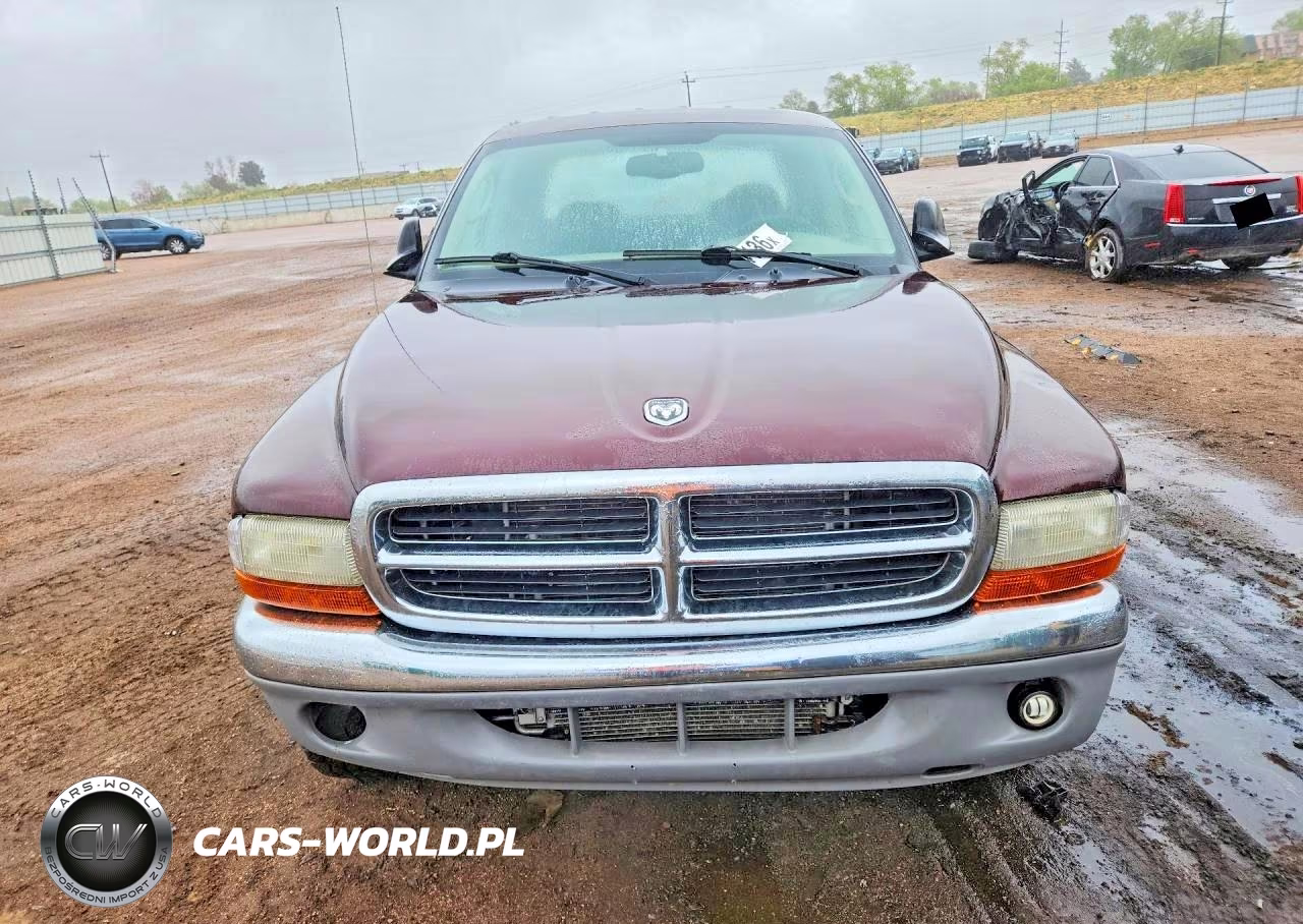 2004 Dodge Dakota Quad Slt VIN:1D7HG48NX4S556273 - 5