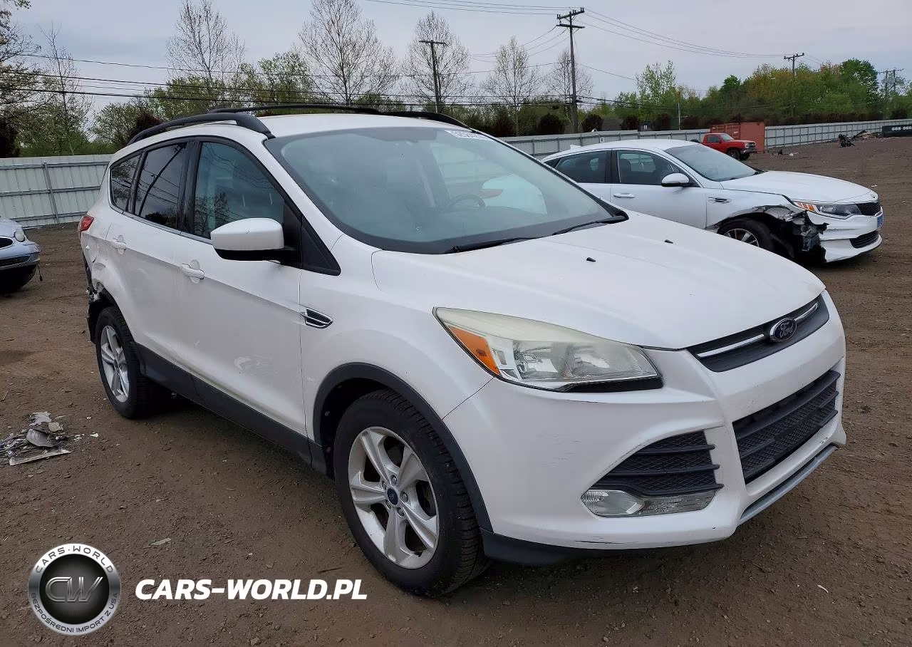 2014 Ford Escape Se VIN:1FMCU0GX4EUB60365 - 4