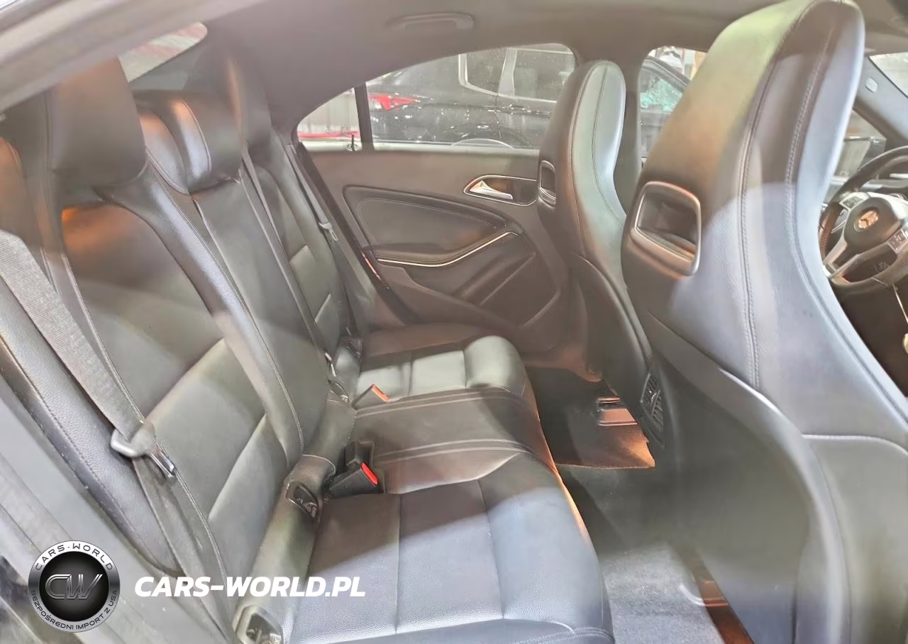 2014 Mercedes-Benz Cla 250 VIN:WDDSJ4EB5EN042770 - 10