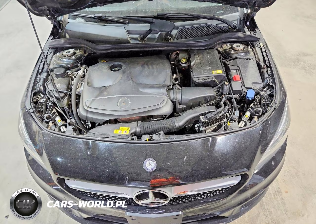 2014 Mercedes-Benz Cla 250 VIN:WDDSJ4EB5EN042770 - 11