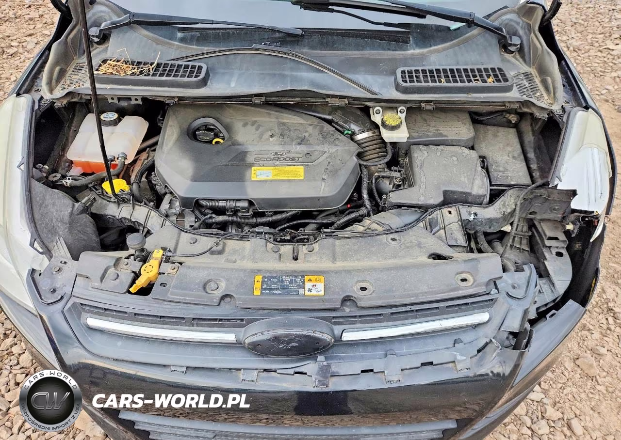 2013 Ford Escape Se VIN:1FMCU9GX2DUD90554 - 12