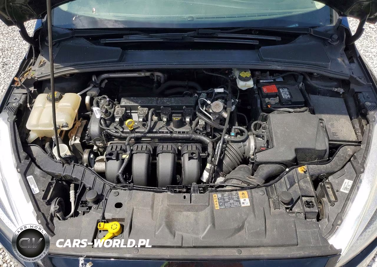 2017 Ford Focus Se VIN:1FADP3F28HL318181 - 11