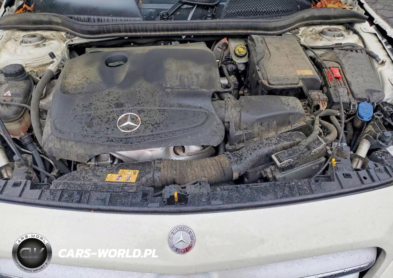 2016 Mercedes-Benz Gla 250 VIN:WDCTG4EB5GJ205645 - 11