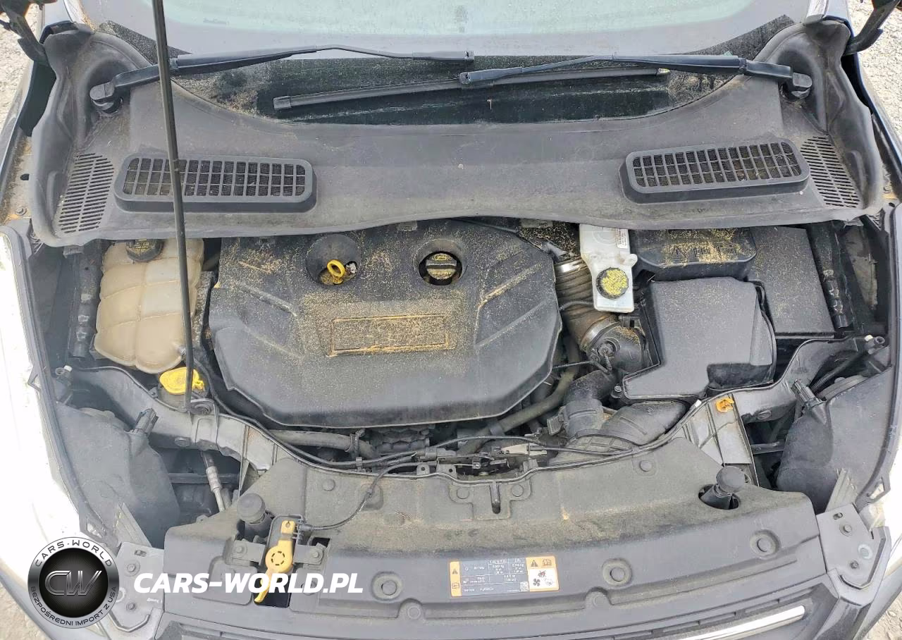 2016 Ford Escape Se VIN:1FMCU0G9XGUB60326 - 12