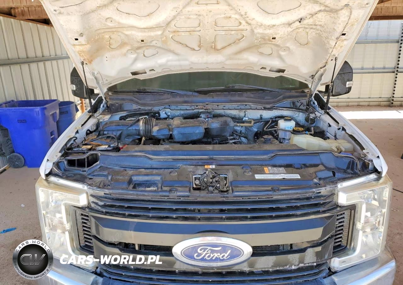 2019 Ford F250 Super Duty VIN:1FT7X2B62KEG54883 - 11