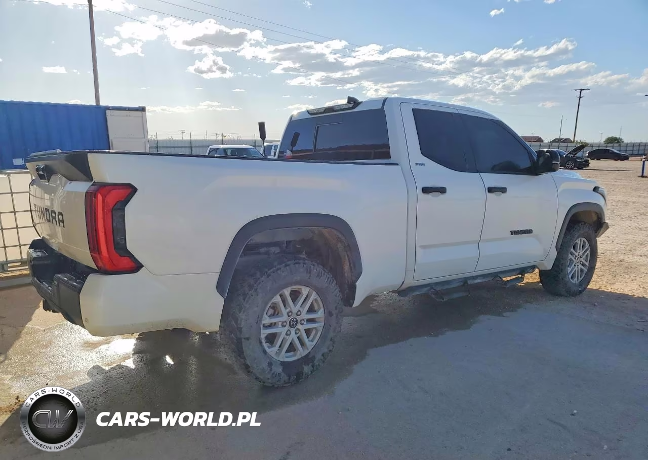 2022 Toyota Tundra Sr5 VIN:5TFLA5DA1NX049393 - 3