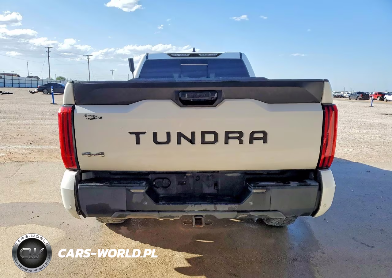 2022 Toyota Tundra Sr5 VIN:5TFLA5DA1NX049393 - 6