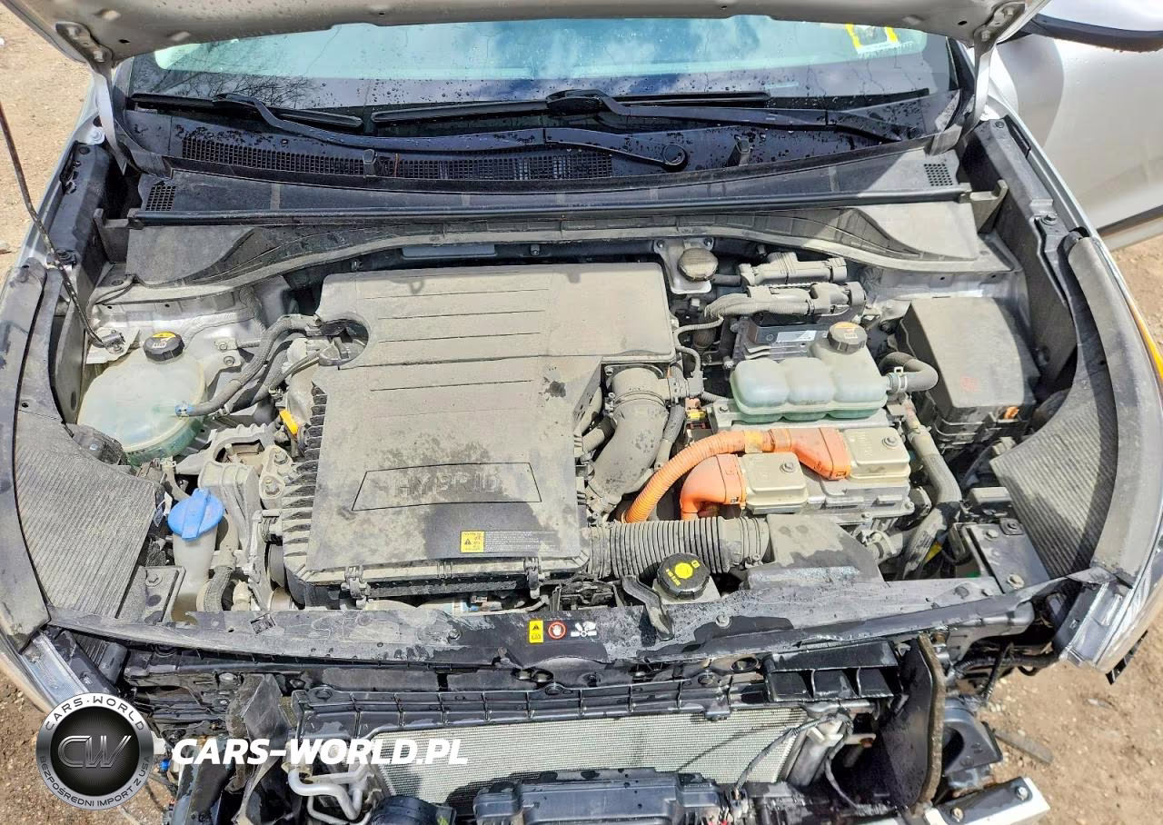 2019 Kia Niro Lx VIN:KNDCB3LC7K5261162 - 12