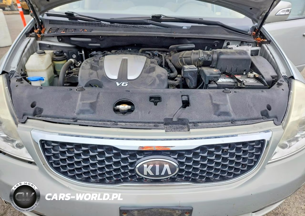 2014 Kia Sedona Lx VIN:KNDMG4C78E6544988 - 12
