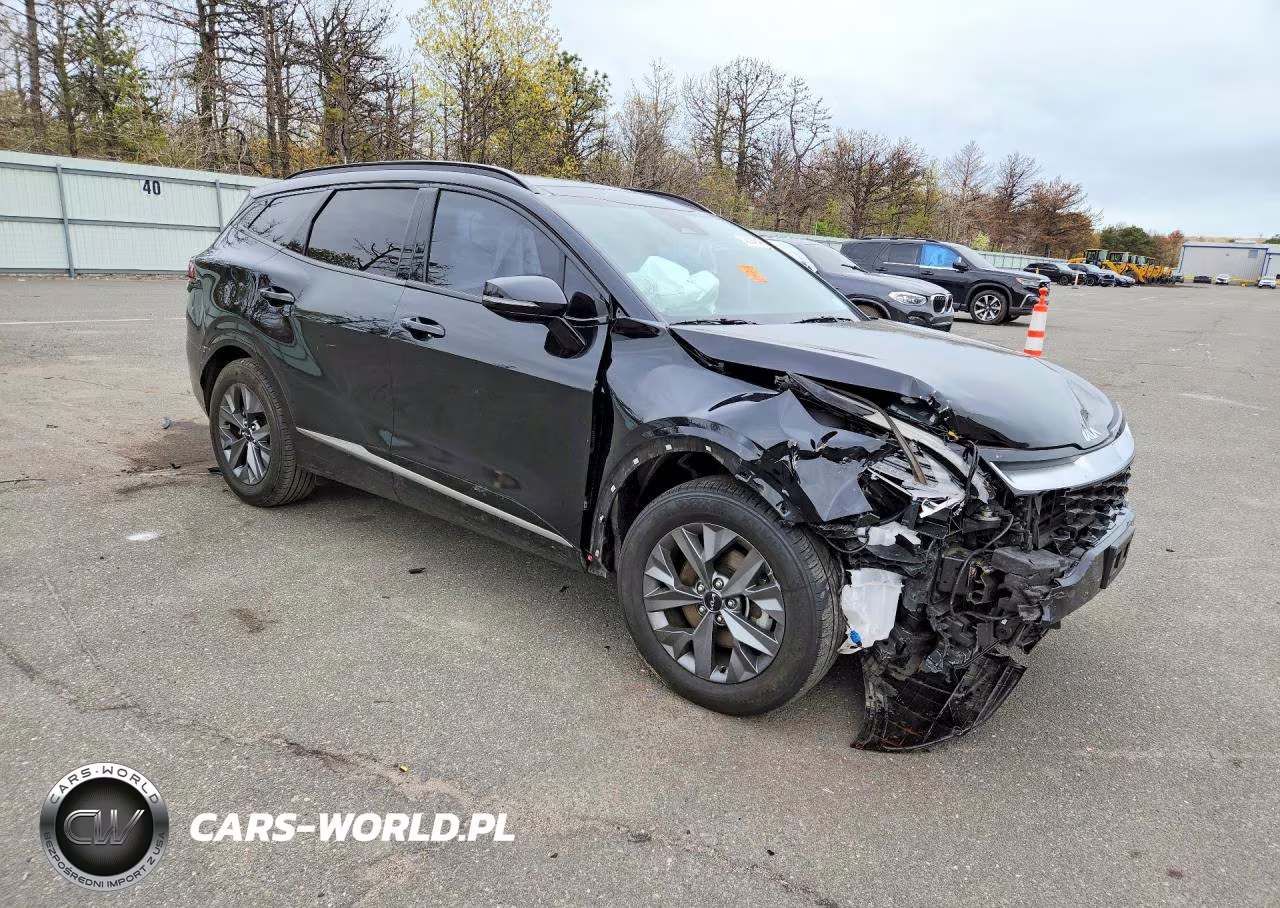 2024 Kia Sportage Sx VIN:5XYK43DF6RG188754 - 4