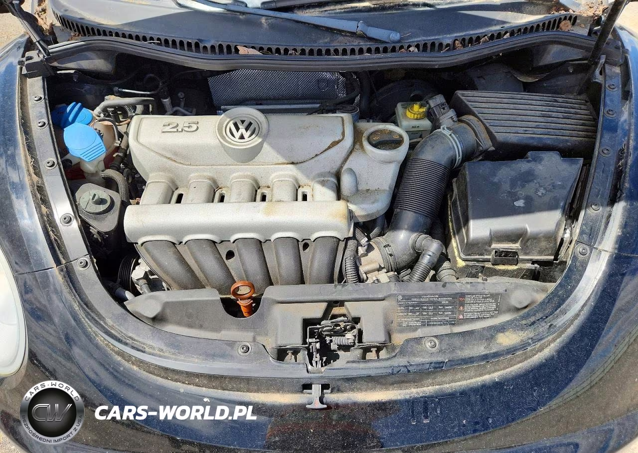 2010 Volkswagen New Beetle VIN:3VWPG3AG6AM018845 - 11